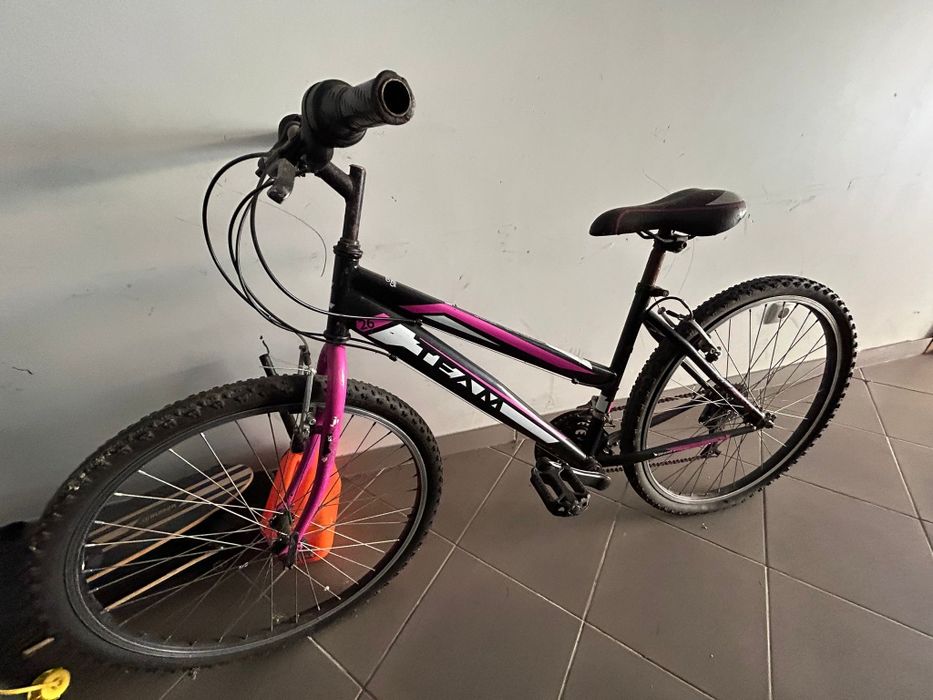 Bicicletas 1 adulto e 2 jovens