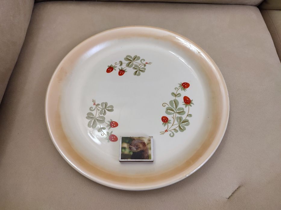 Велике блюдо Буди полуниця тареля