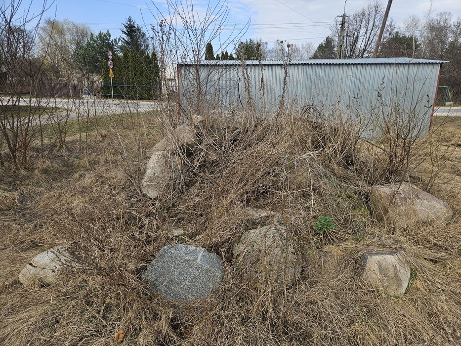 Oddam kamienie , na skalniak badz do ozdoby