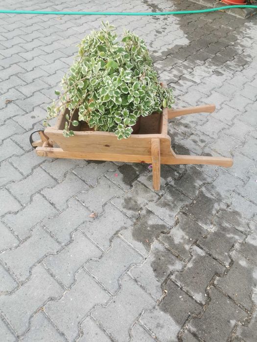 Carros de jardim