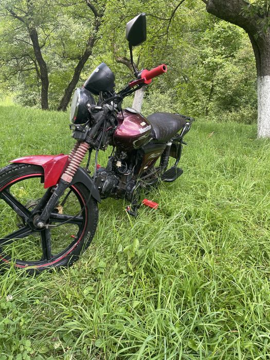 Мустанг фіт 125