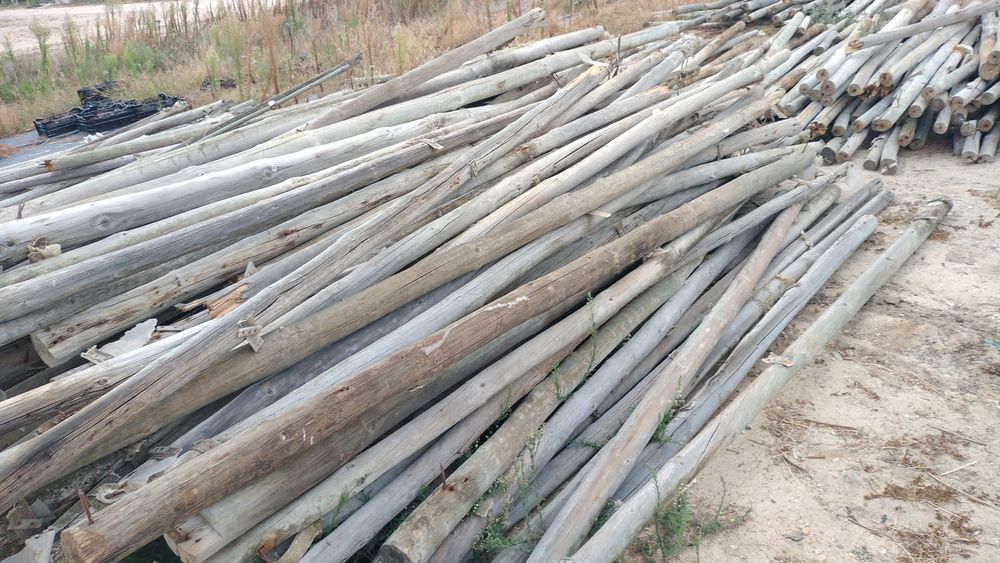 Postes tratados.               .