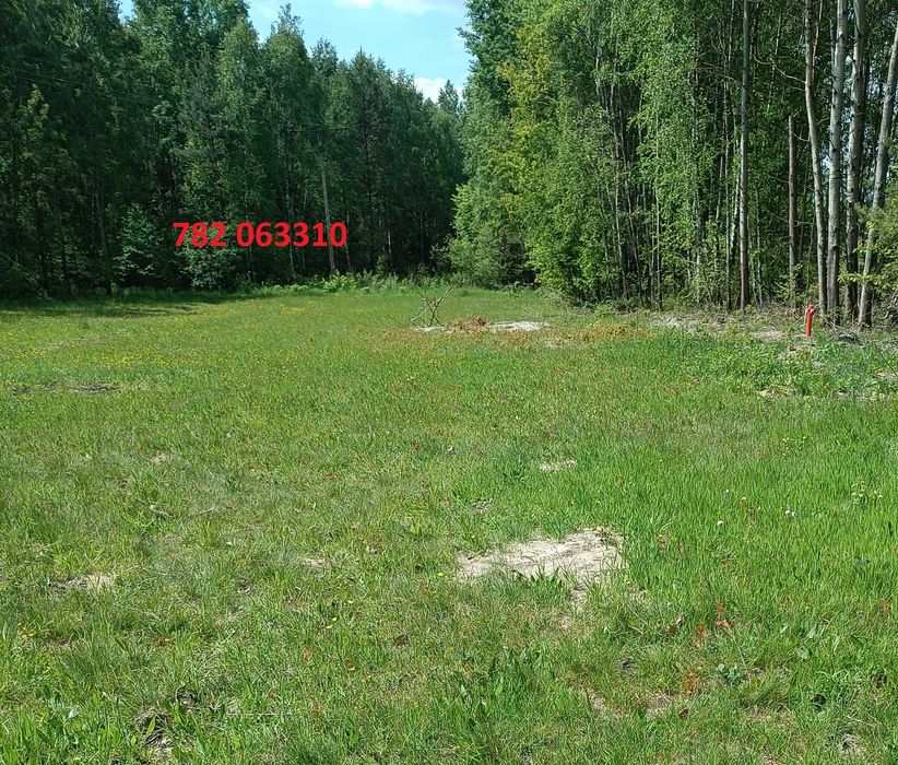 Działka rolno-budowlane - Widok 6
