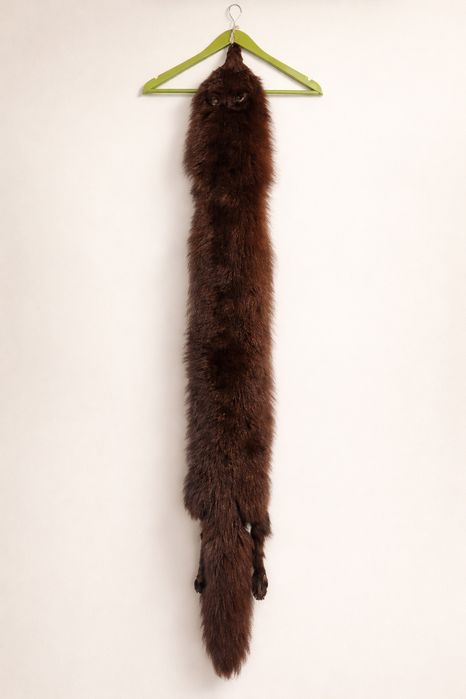 Futro z lisa, szal, lis naturalne futro.