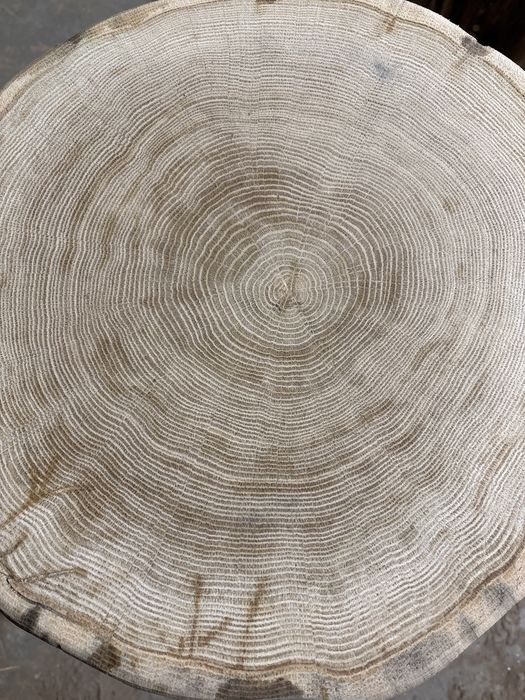 Stolik kawowy debowy pniak