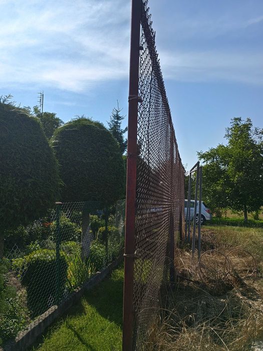 Sprzedam siatkę z słupkami.