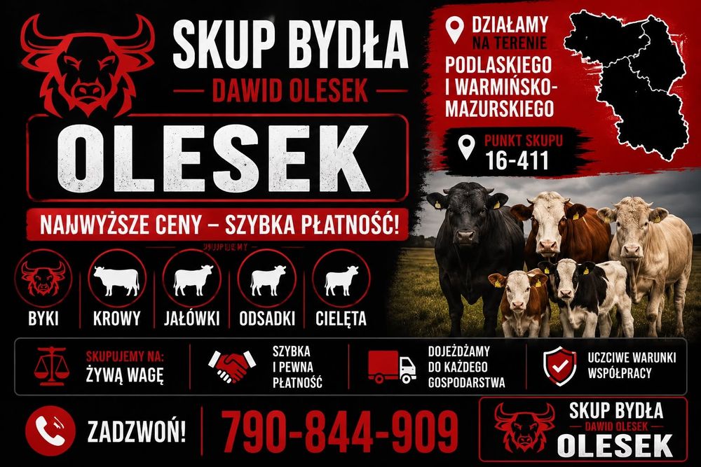SKUP BYDŁA Rzeźnego i Hodowlanego