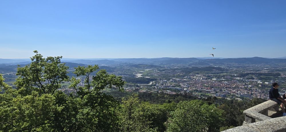 Pequenas restauracoes e reparo em casas corte e abate de árvores