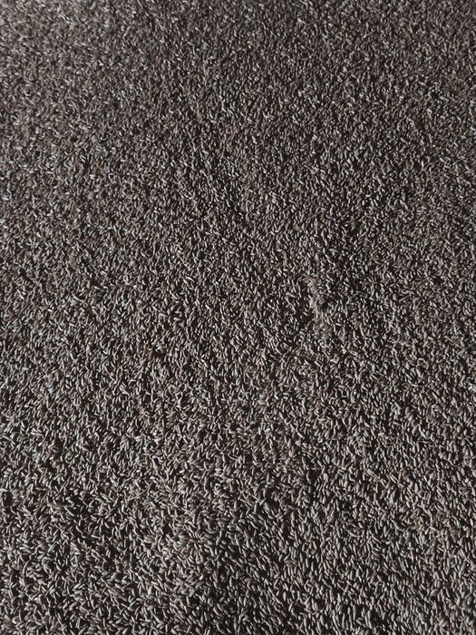 Sprzedam żyto paszowe