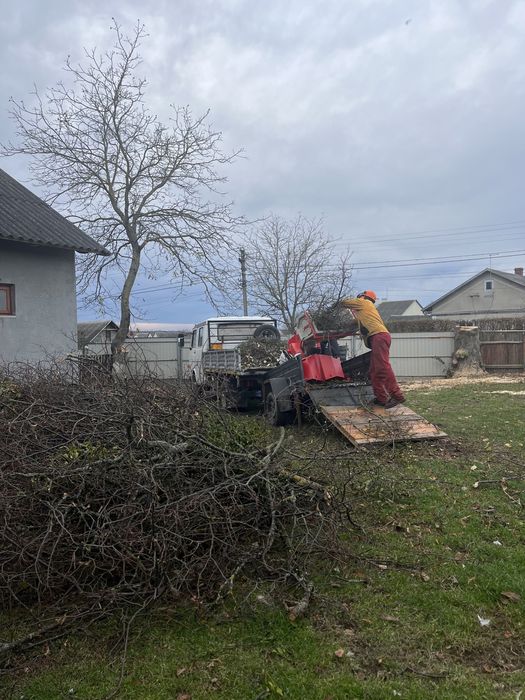 Подрібнення гілок, вивіз гілок, зрізати дерево, зрізання дерев