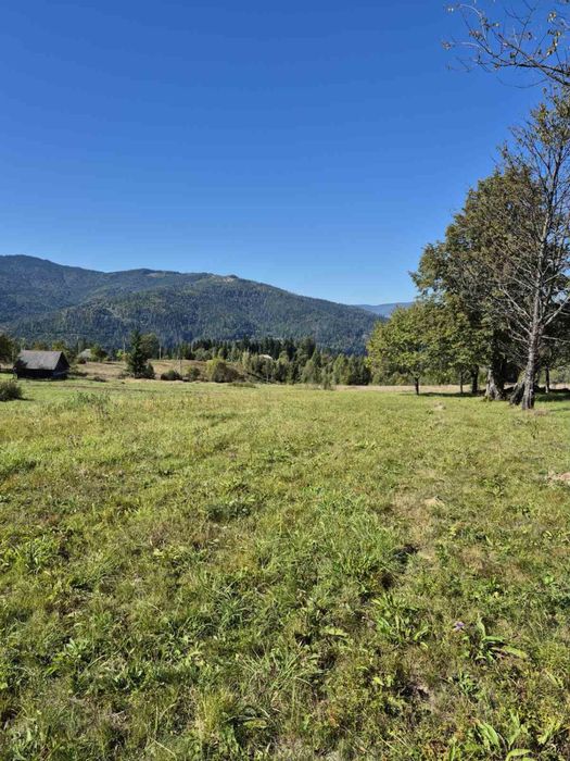 Продається будинок та 10 сотин 35 тис Микуличин (Карпати Буковель)