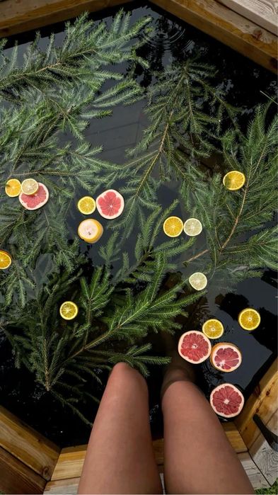 Подобово будинок з чаном та сауною біля озера і лісу Koshara_chalet