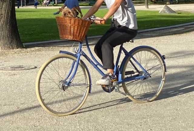 bicicleta cidade pashley princess