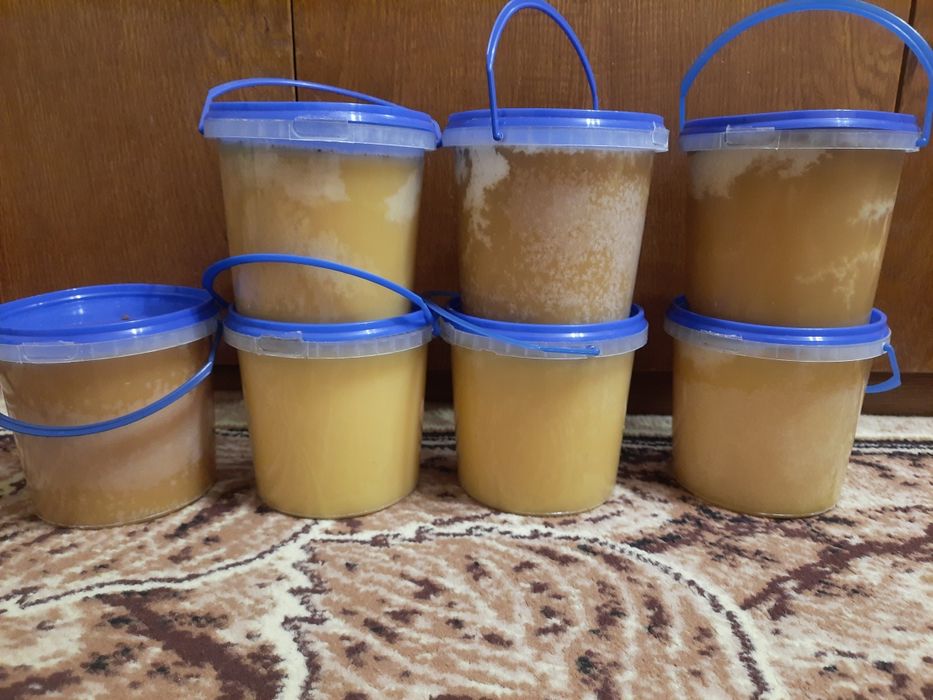 Продам мед 2025 року.