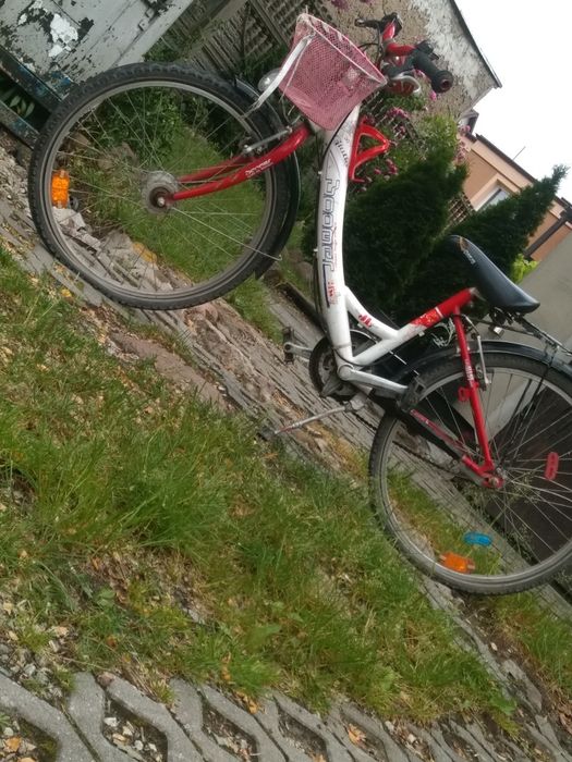 Rower dziecięcy boomer (24cale)