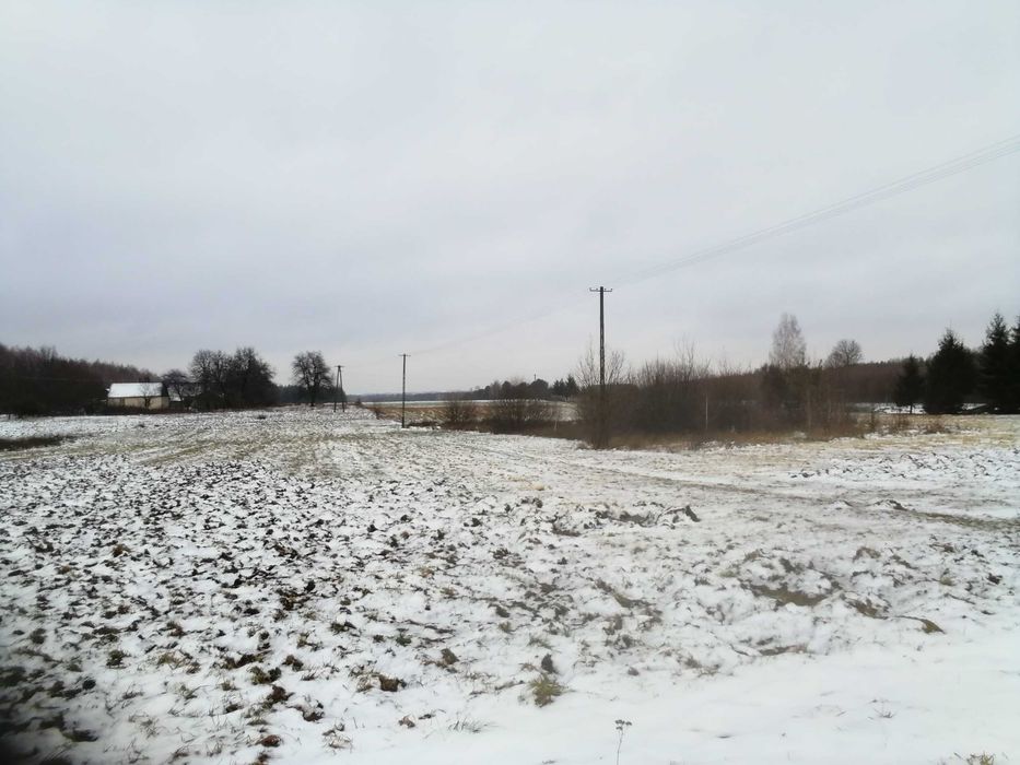 działka budowlana w Oleśnicy gmina Wodynie