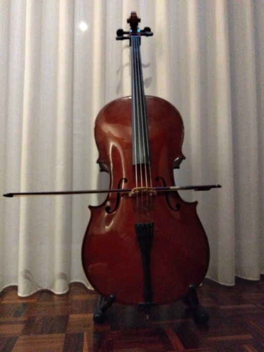 Violoncelo 1/2 bom estado