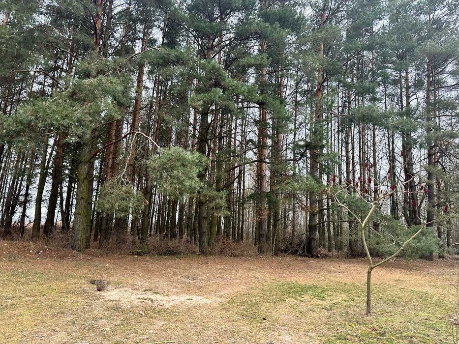 Продам 2 ділянки Переяслав/Чубуки/ 6 соток, Дніпро 200 метрів/Світло