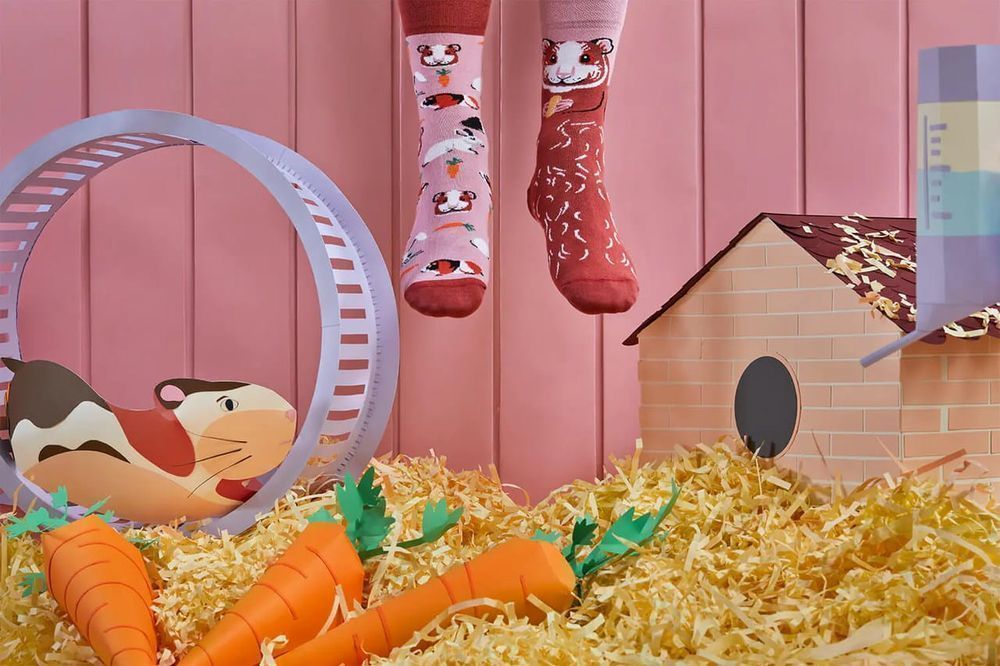 Skarpety Miss Guinea Kids - Many Mornings 23-26