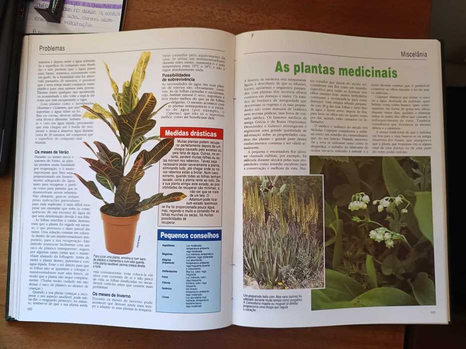 Para ter plantas saudáveis e viçosas!