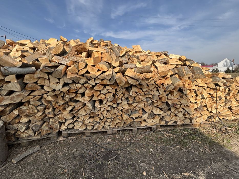 Układane Drewno Kominkowe Drzewo Opałowe Akacja Dąb Buk Grab Brzoza