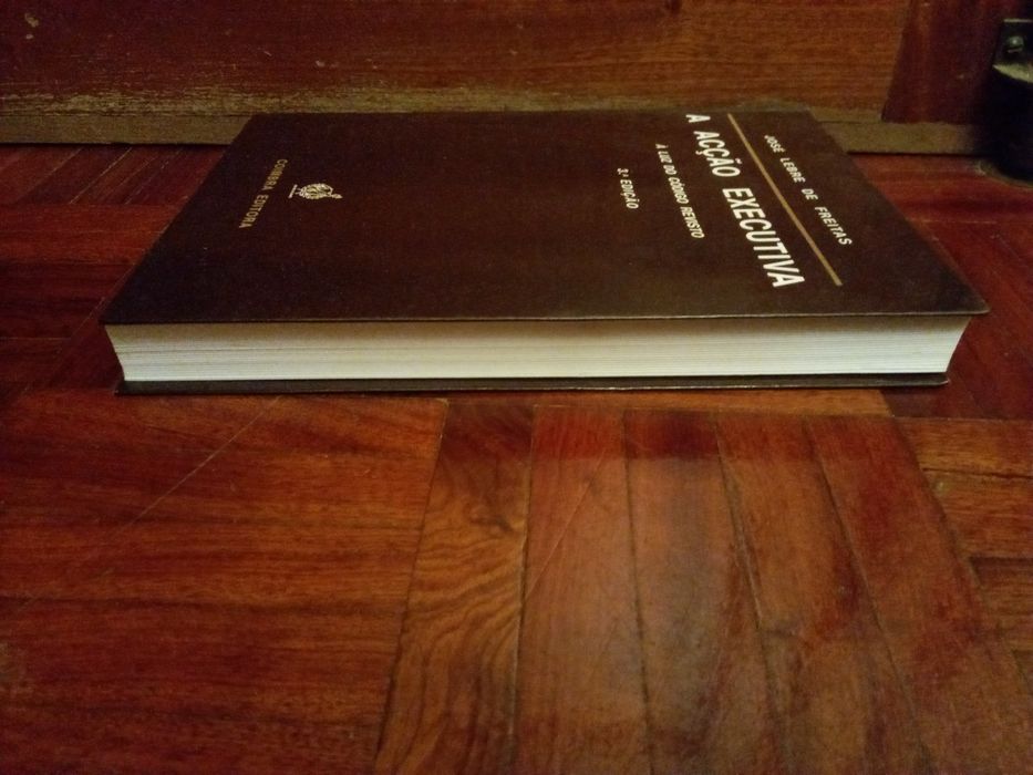 A Acção Executiva de José Lebre de Freitas
