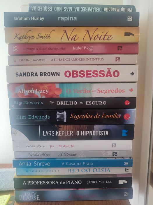 Literatura romance thriller mistério Demon Copperhead C/Novos!