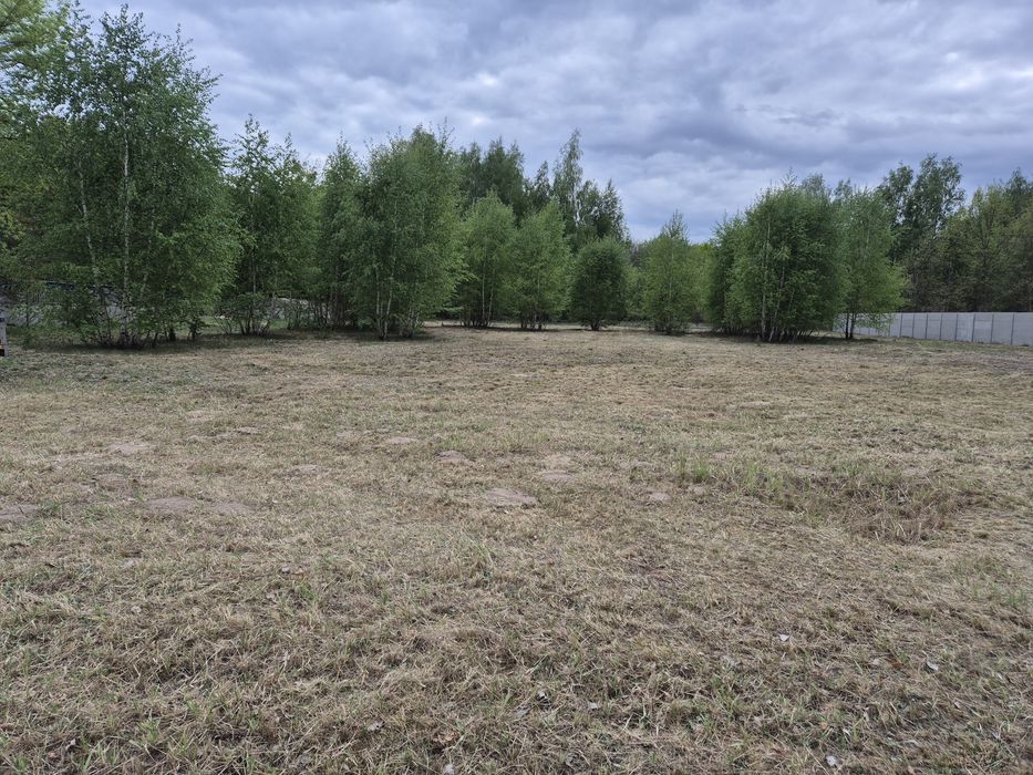 Działka 3100 m2 Stare budy