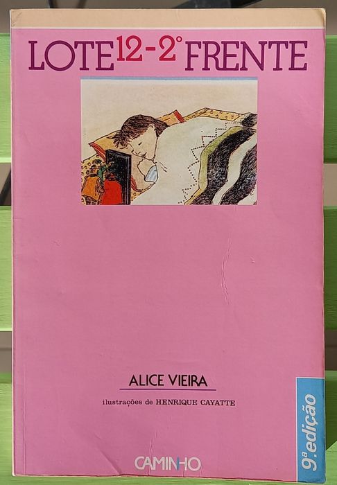 Livro "Lote 12, 2o frente", de Alice Vieira