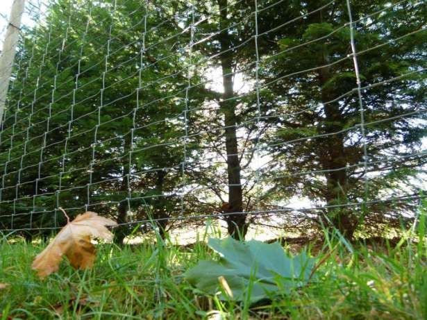 Siatka leśna, ogrodzeniowa 180/24/15 L zagęszczana gęsta