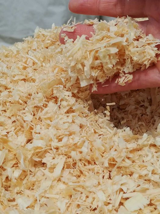 Ściółka dla koni, psów, trociny odpylone 15 szt x 20 kg cena z dostawą