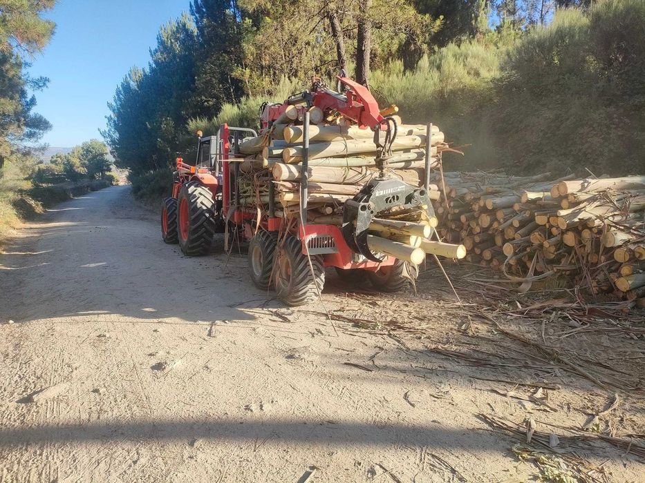 Reboque florestal 8000 kg com grua florestal 5 mt , NOVO