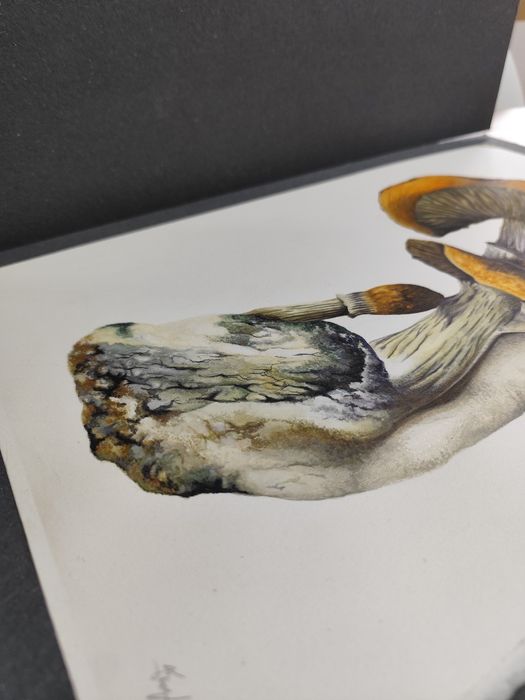 Pintura à mão (pessoal)
