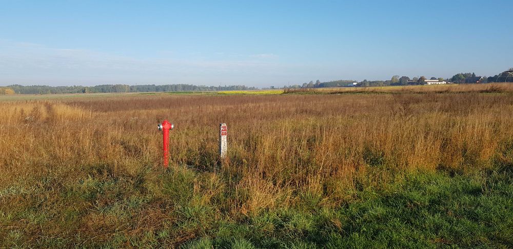 Działka budowlana - 1288 m² - Bezterminowe Warunki Zabudowy - Więcej