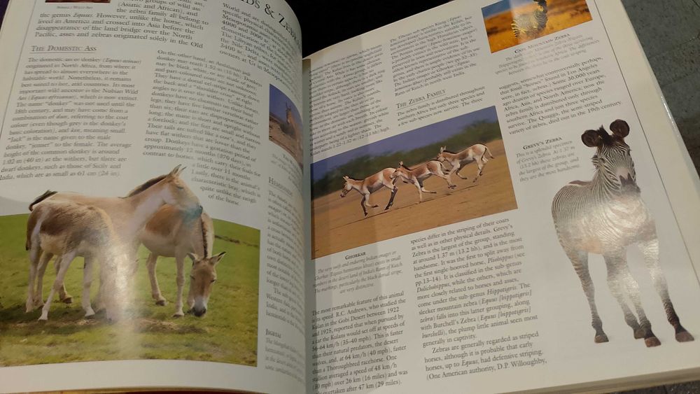 The Encyclopedia of the Horse - Elwyn Hartley Edwards
