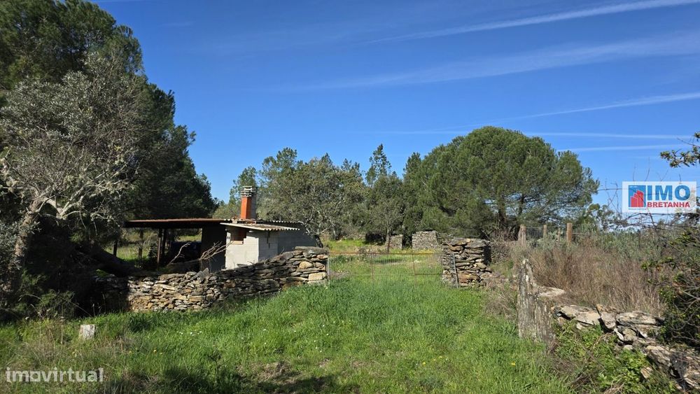 Quintinha em Benquerenças a 10 minutos de Castelo Branco