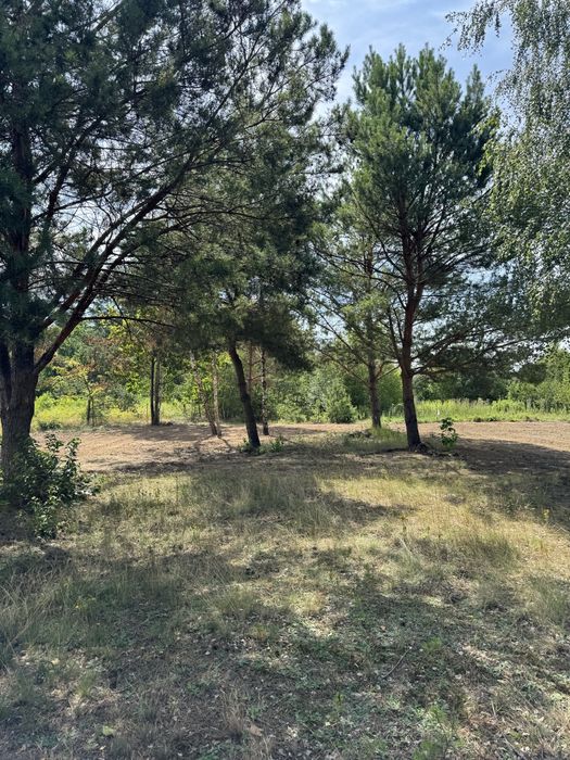 Działka z WZ 1240 m2 + Światłowód / OMIĘCINY (Joniec) / 2 km PKP /Wkra