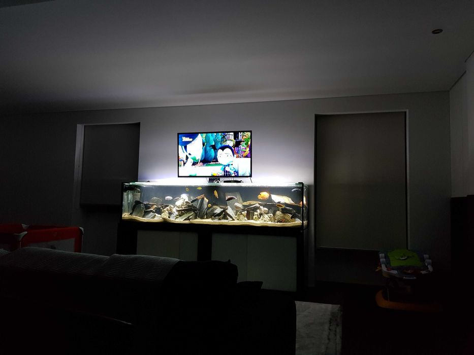 Aquario 2500mm completo