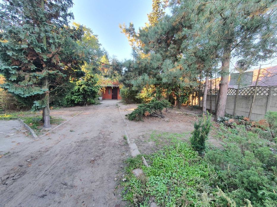 Plewiska , działka około 900 mkw . do wynajęcia