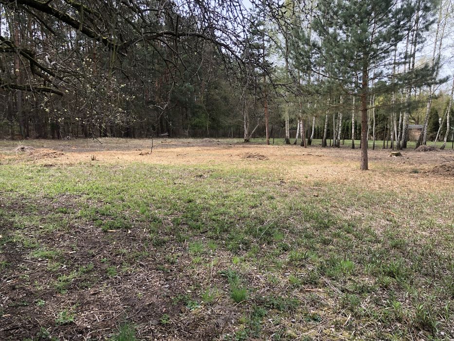 Działka budowlana Otwock Teklin 1817 m², WZ na bliźniaka, przy lesie - Widok 3