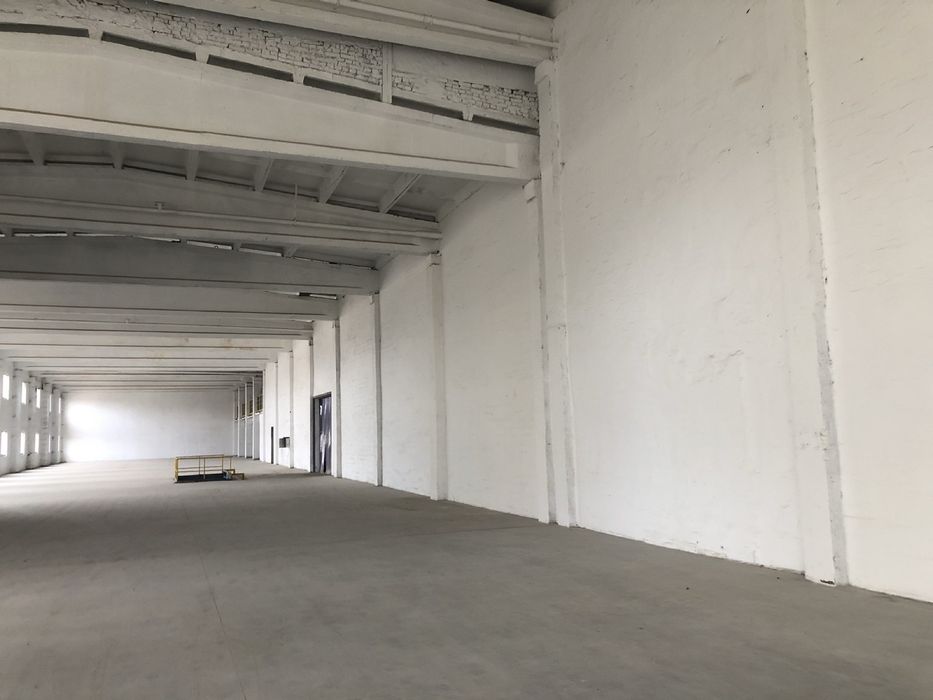 Штукатурка машинним способом(осушувач)