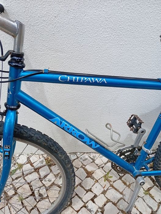Bicicleta de montanha