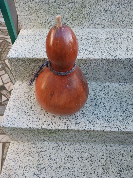 Grande cabaça perfeita para artesanato,como por exemplo presépio.