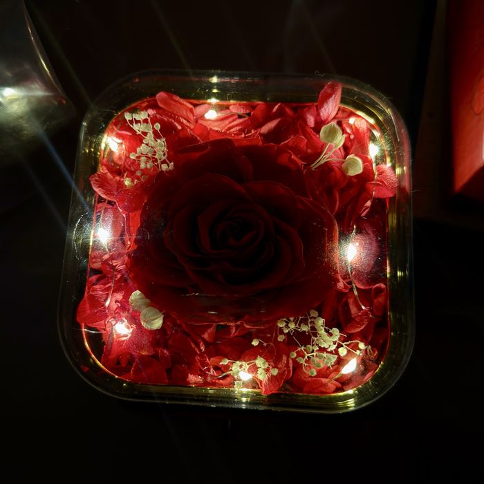 Подарунковий набір «Вічна роза» + кулон / шкатулка «Вечная роза»