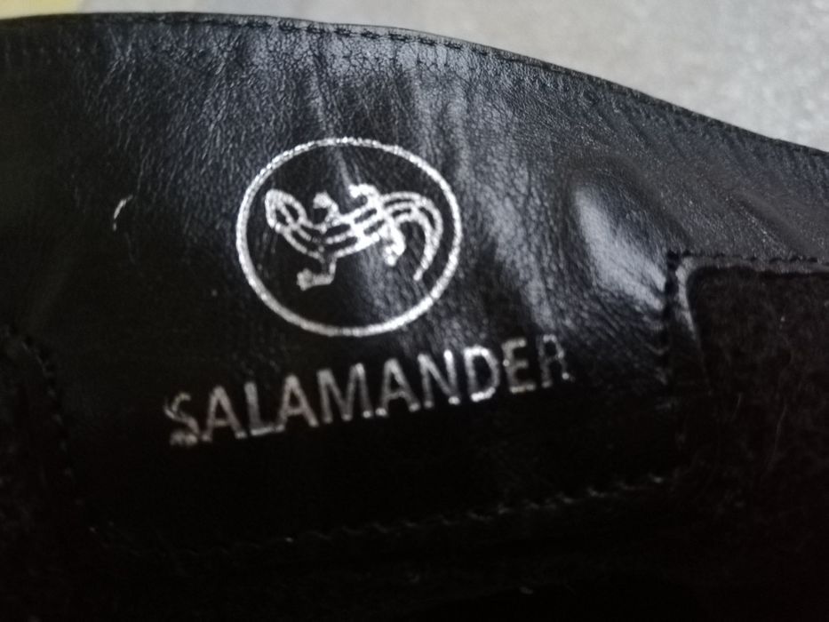 Buty salamander skórzane botki