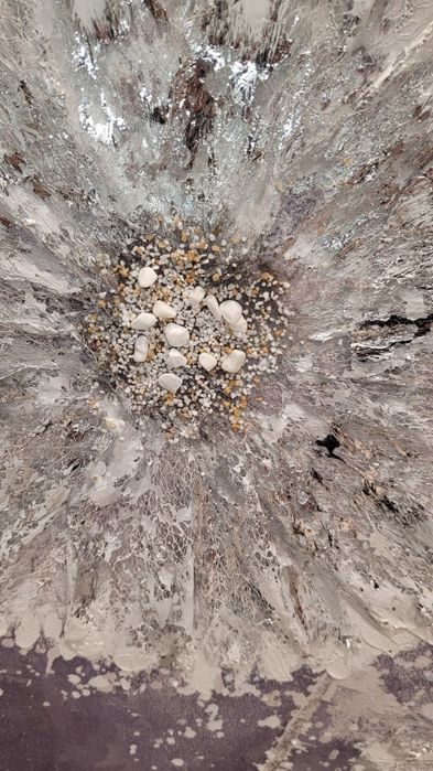 Obraz dmuchawce Home&You