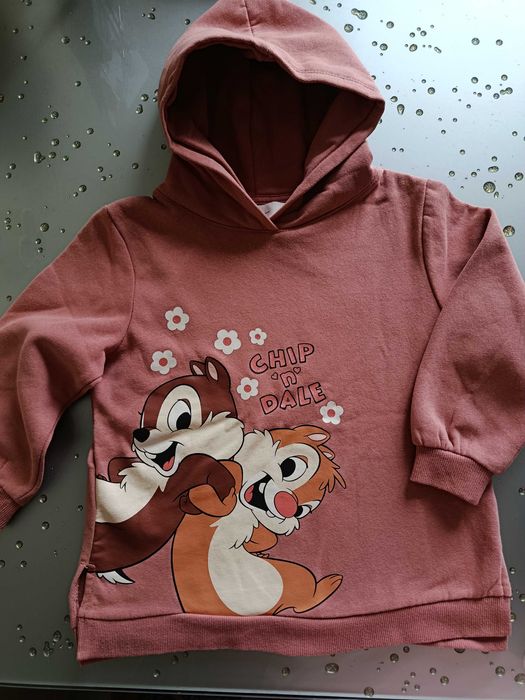 Худі з капюшоном, H&M, худі для дівчинки, світшот.