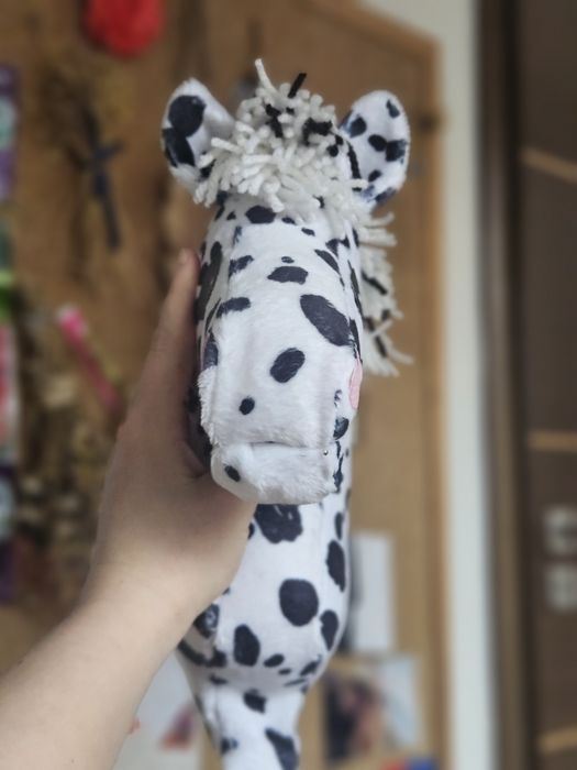 SHV Dalma 101 z DERKĄ  konik A5 tarantowaty TANIO