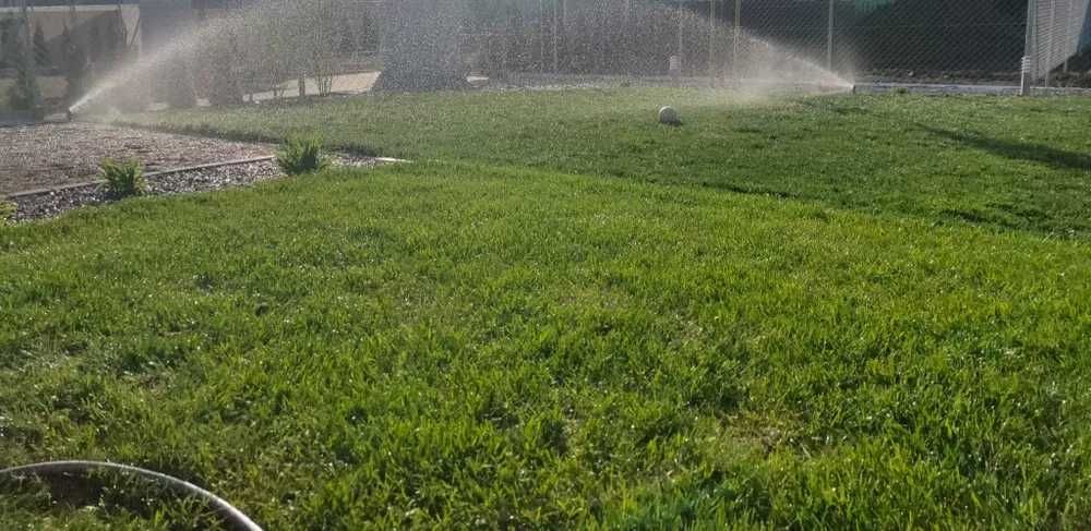 Pielęgnacja ogrodów, automatyczne podlewanie, ogrodnik, projekty