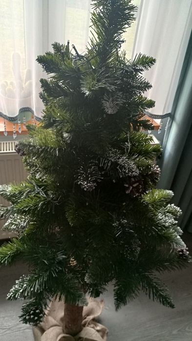 Choinka na sosnowym pniu